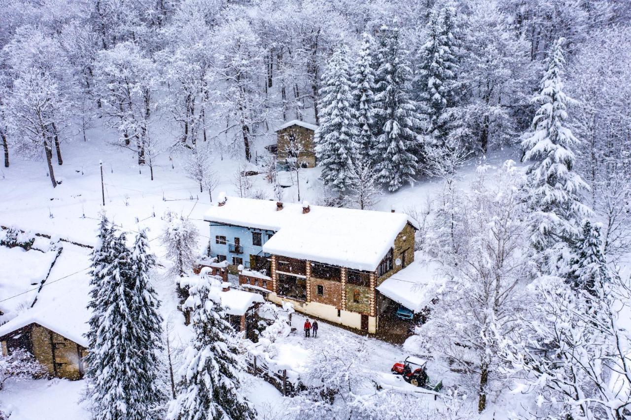 Iduevagamondi - Ospitalita Rurale Famigliare Di Montagna Bed & Breakfast Chiusa di Pesio Ngoại thất bức ảnh